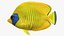 Saltwater Fish Rigged Collection