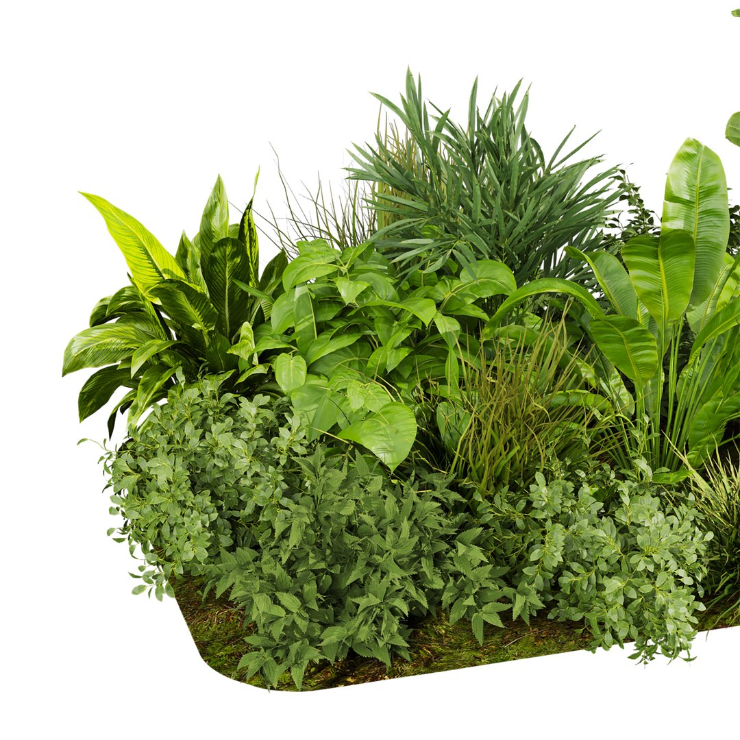 3D Collection plant vol 674 - banana - garden https://p.turbosquid.com/ts-thumb/iE/jIVaut/Iy/5/jpg/1762807243/1920x1080/fit_q87/778461c4e0405080daaeccb55851db91f387b193/5.jpg