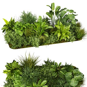 3D Collection plant vol 674 - banana - garden