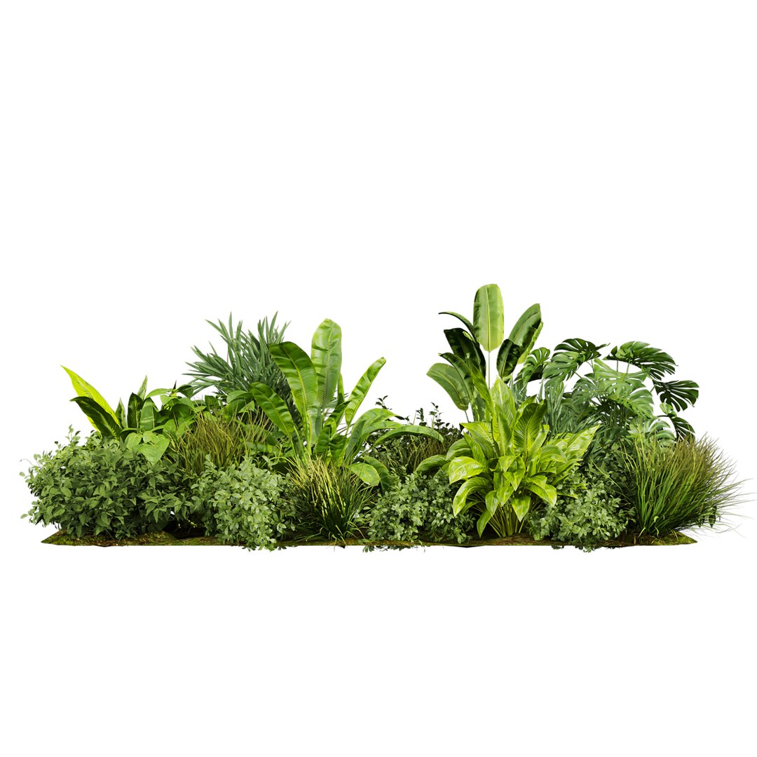 3D Collection plant vol 674 - banana - garden https://p.turbosquid.com/ts-thumb/iE/jIVaut/hi/2/jpg/1762807241/1920x1080/fit_q87/4029f87cab4b1416e18fbefdb22d7e00361cf5a9/2.jpg