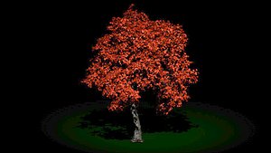 tree 3D model