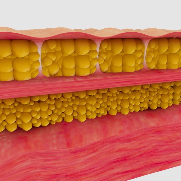 Жировая ткань фото