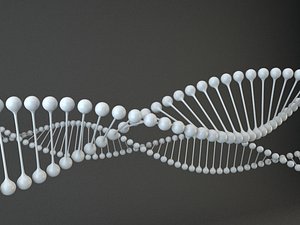 DNA