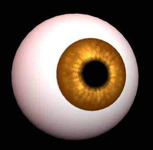 eye.mb