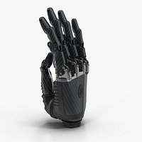 Arm Prosthesis
