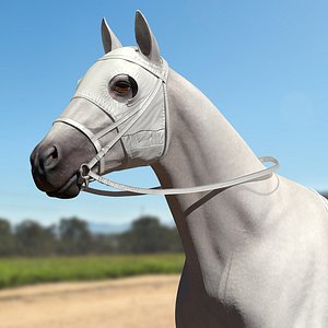 3D racehorse white horse rigged model