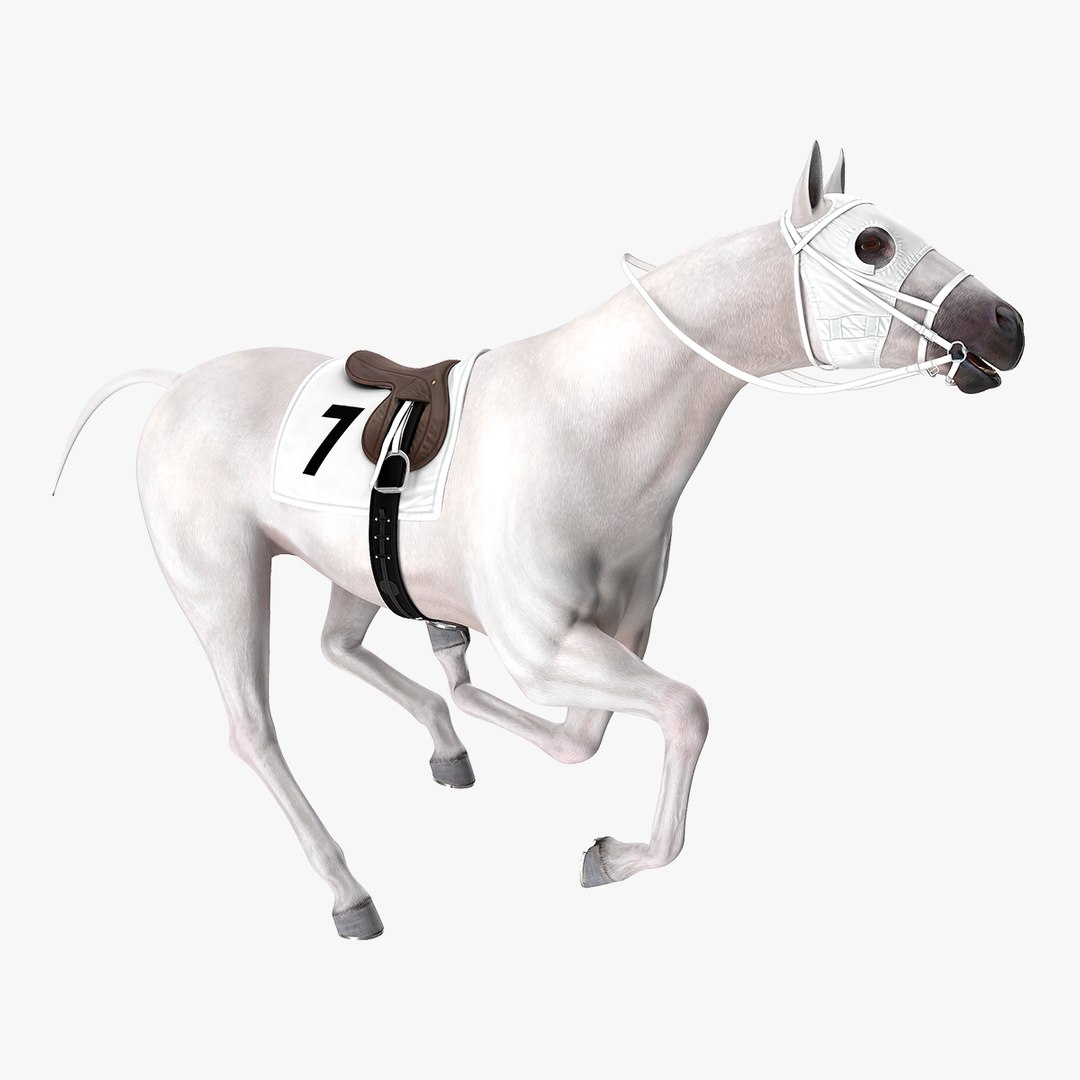 Racehorse White Rigged for Cinema 4D 3D model preview