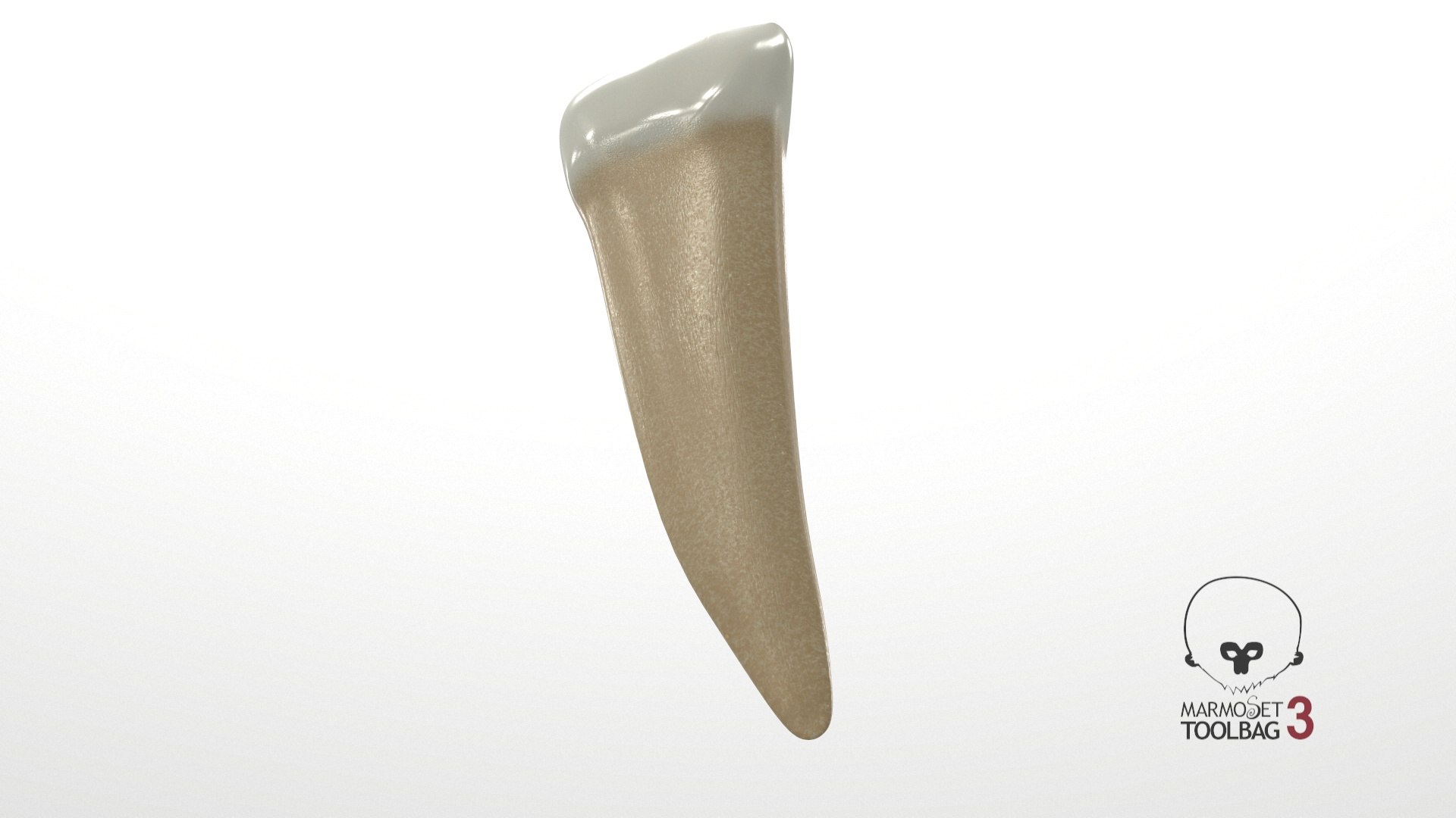 Human Teeth Lower Lateral Model - TurboSquid 1552170