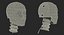 Crash Test Dummy Head 3D Model