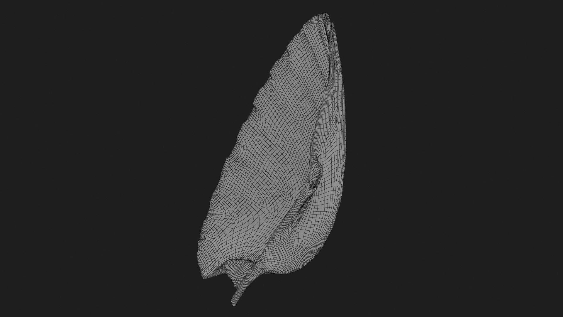 3D Clam Shell 03 Model - TurboSquid 2269913