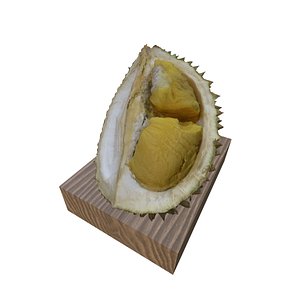3D Durian Flesh model