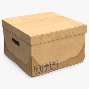 Lidded Cardboard Storage Box Damaged 3D