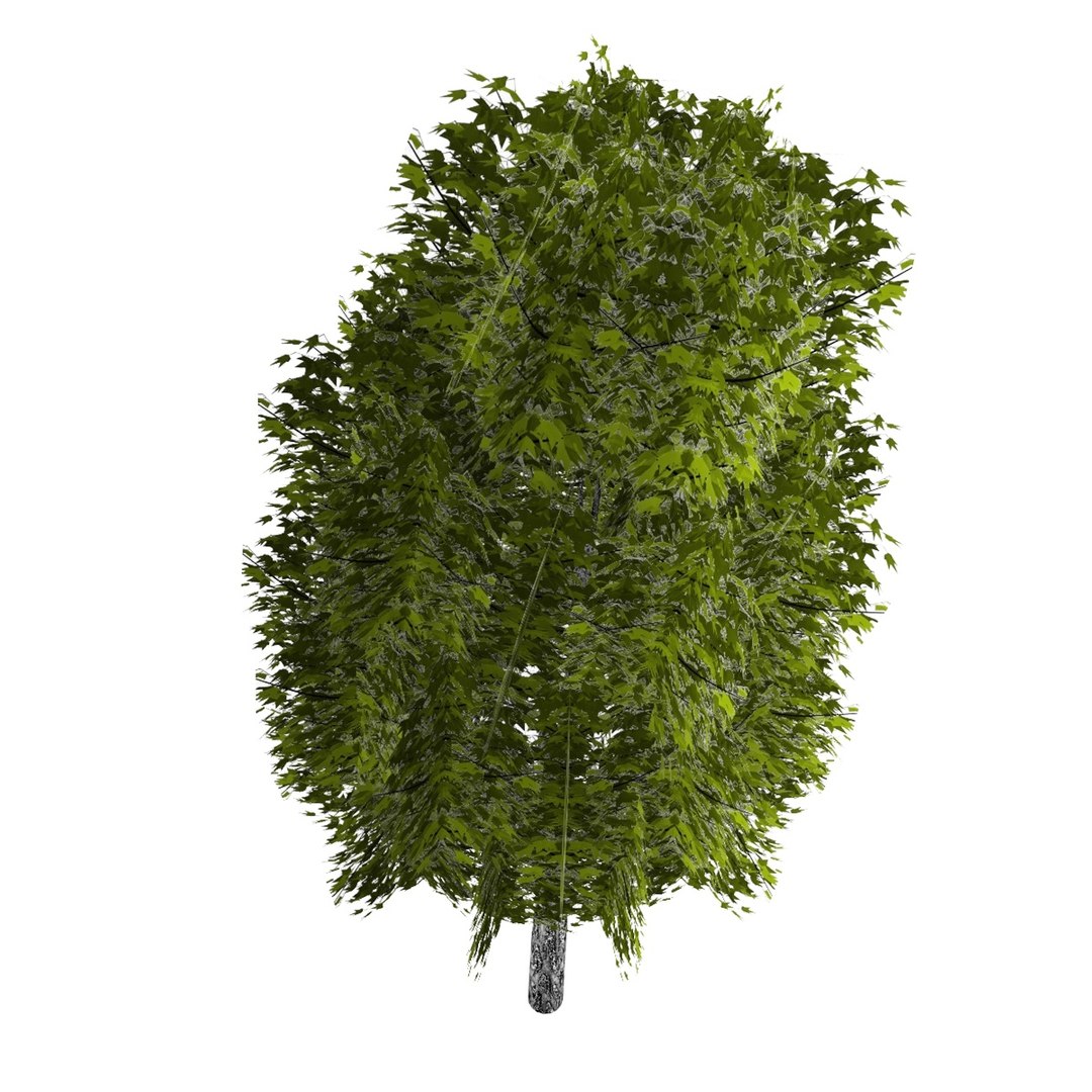 Pc Tree 3d Model