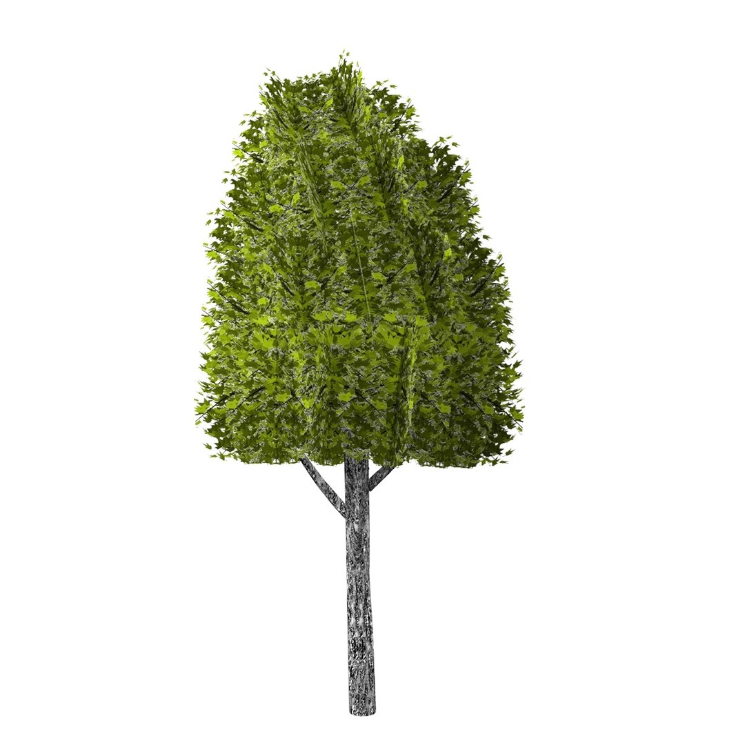 Pc Tree 3d Model