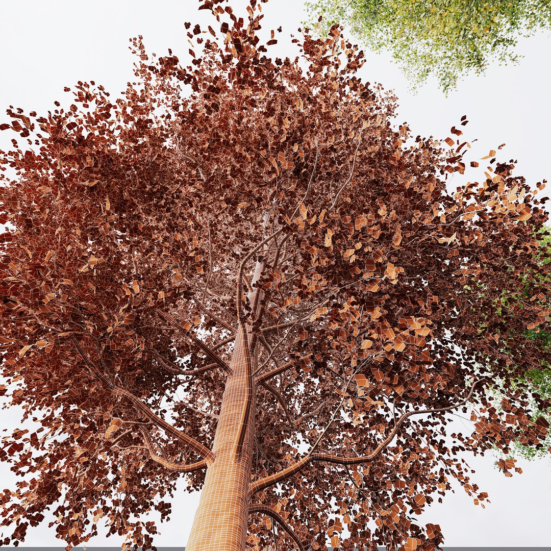 3D model 6 Different SETS of Tree SET VOL08 https://p.turbosquid.com/ts-thumb/iF/etDV7P/0e/z04/jpg/1695463707/1920x1080/fit_q87/fdbdd1b96da937206135c7abda59702761dd41c8/z04.jpg
