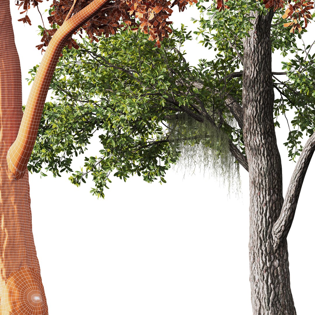 3D model 6 Different SETS of Tree SET VOL08 https://p.turbosquid.com/ts-thumb/iF/etDV7P/4N/z03/png/1695384669/1920x1080/fit_q87/1da11d97daa62dcf73f0948b27c1ad12b530ce90/z03.jpg