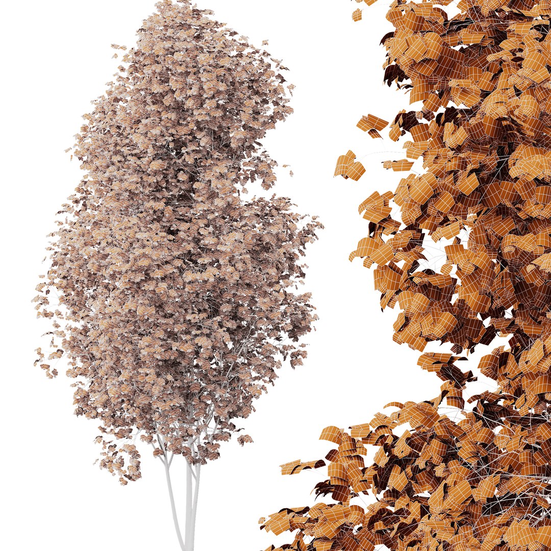 3D model 6 Different SETS of Tree SET VOL08 https://p.turbosquid.com/ts-thumb/iF/etDV7P/Ju/z04/png/1695382554/1920x1080/fit_q87/533efa9f8621f83144dfb2f857d454261f747728/z04.jpg