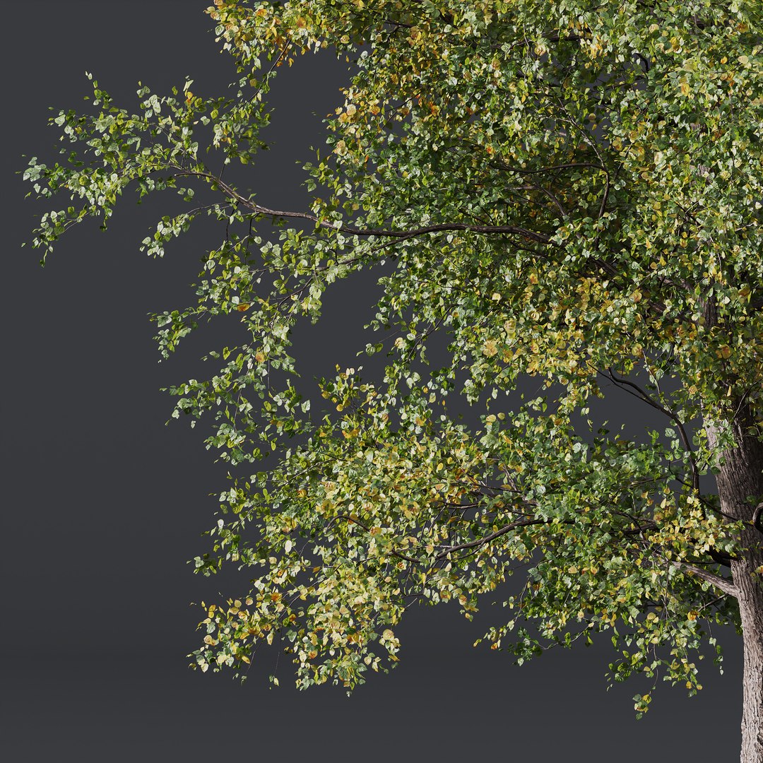 3D model 6 Different SETS of Tree SET VOL08 https://p.turbosquid.com/ts-thumb/iF/etDV7P/QX/z031/jpg/1695929748/1920x1080/fit_q87/bc567c4b70f4fcbe8b437786d3a3a0a0ca4065c8/z031.jpg