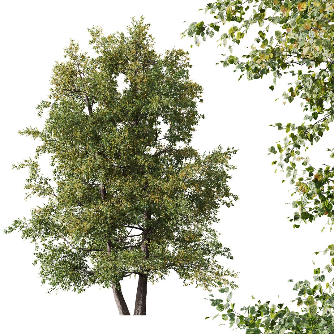 3D model 6 Different SETS of Tree SET VOL08 https://p.turbosquid.com/ts-thumb/iF/etDV7P/la/z004/jpg/1695929770/1920x1080/fit_q87/35fda97ba1d6461aa582cd248f8256bc887f491c/z004.jpg
