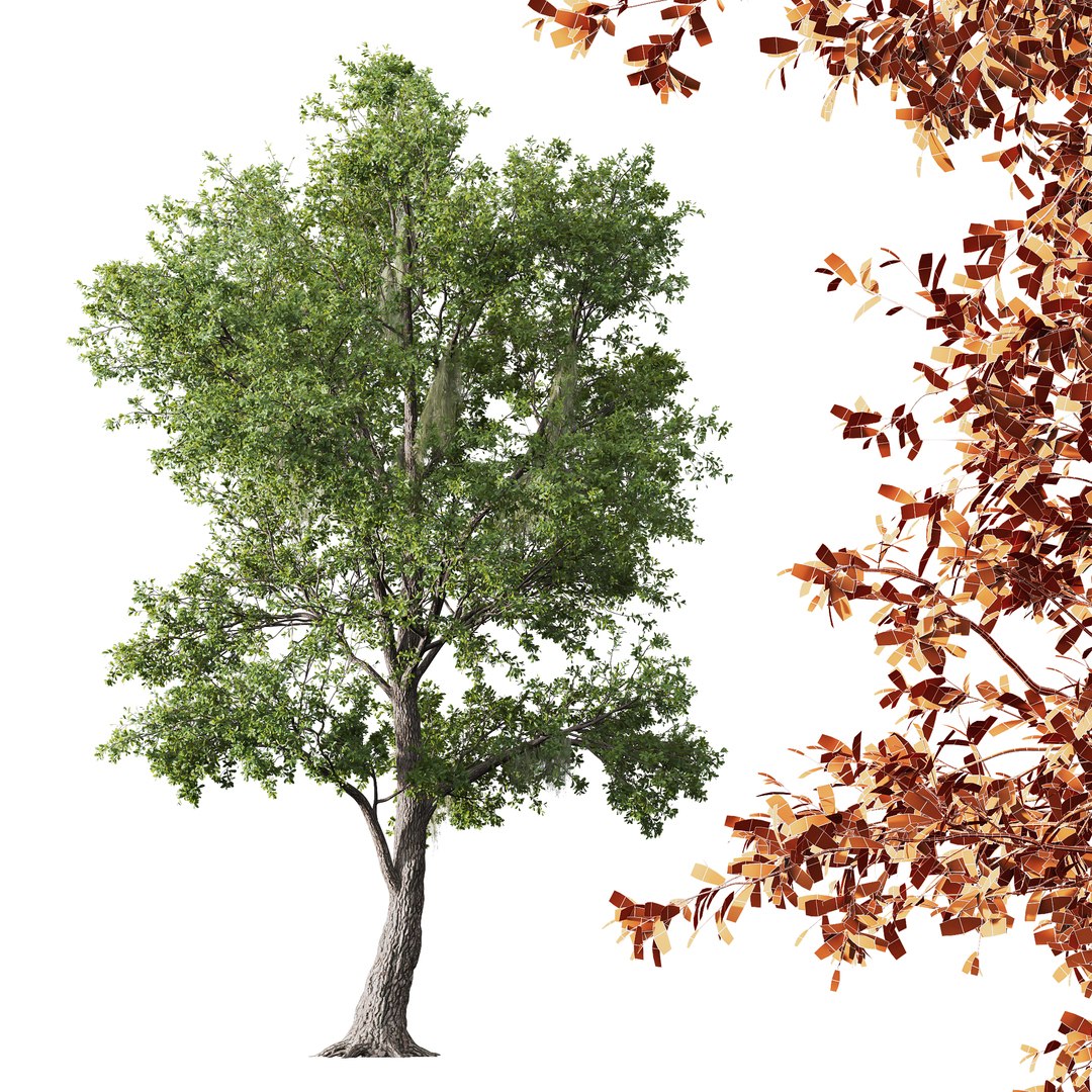 3D model 6 Different SETS of Tree SET VOL08 https://p.turbosquid.com/ts-thumb/iF/etDV7P/ng/z02/jpg/1695929746/1920x1080/fit_q87/c54e40490bd3405c27076b9427d6ea416c894136/z02.jpg