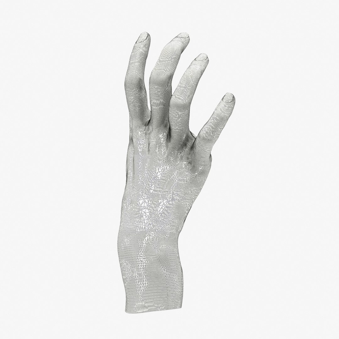 Female hand 3D - TurboSquid 1451703