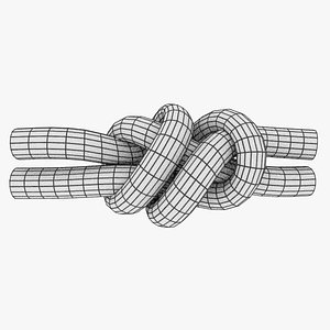 3D model knot