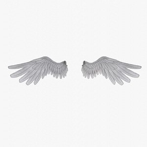 Angel Wings