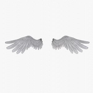 Angel Wings