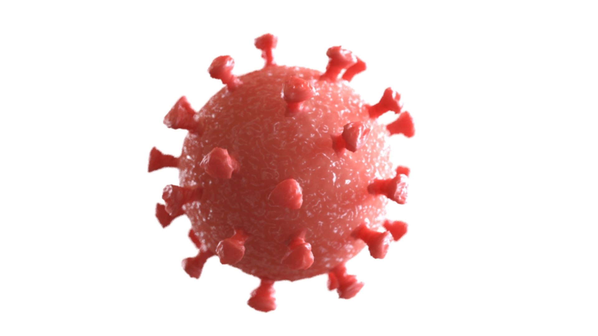 3D virus bacteria microbe https://p.turbosquid.com/ts-thumb/iF/vJfxkQ/67/fleshy_pink1/png/1609645939/1920x1080/fit_q87/b1435c9288487d3a0753916d09094ea6ecf972c3/fleshy_pink1.jpg