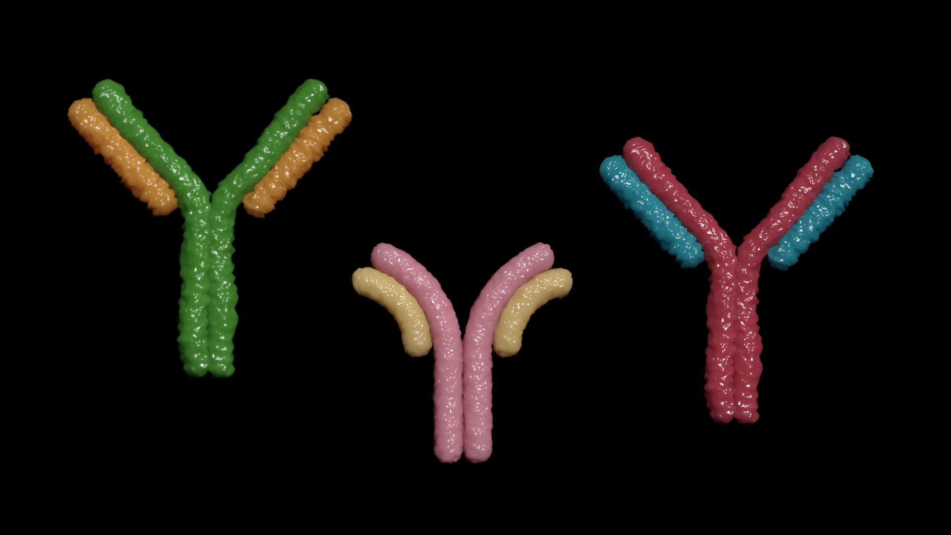 3D virus bacteria microbe https://p.turbosquid.com/ts-thumb/iF/vJfxkQ/6d/antibodies/png/1609646289/1920x1080/fit_q87/21824f6442ae1afef4b51e21c4cf8494c9284114/antibodies.jpg