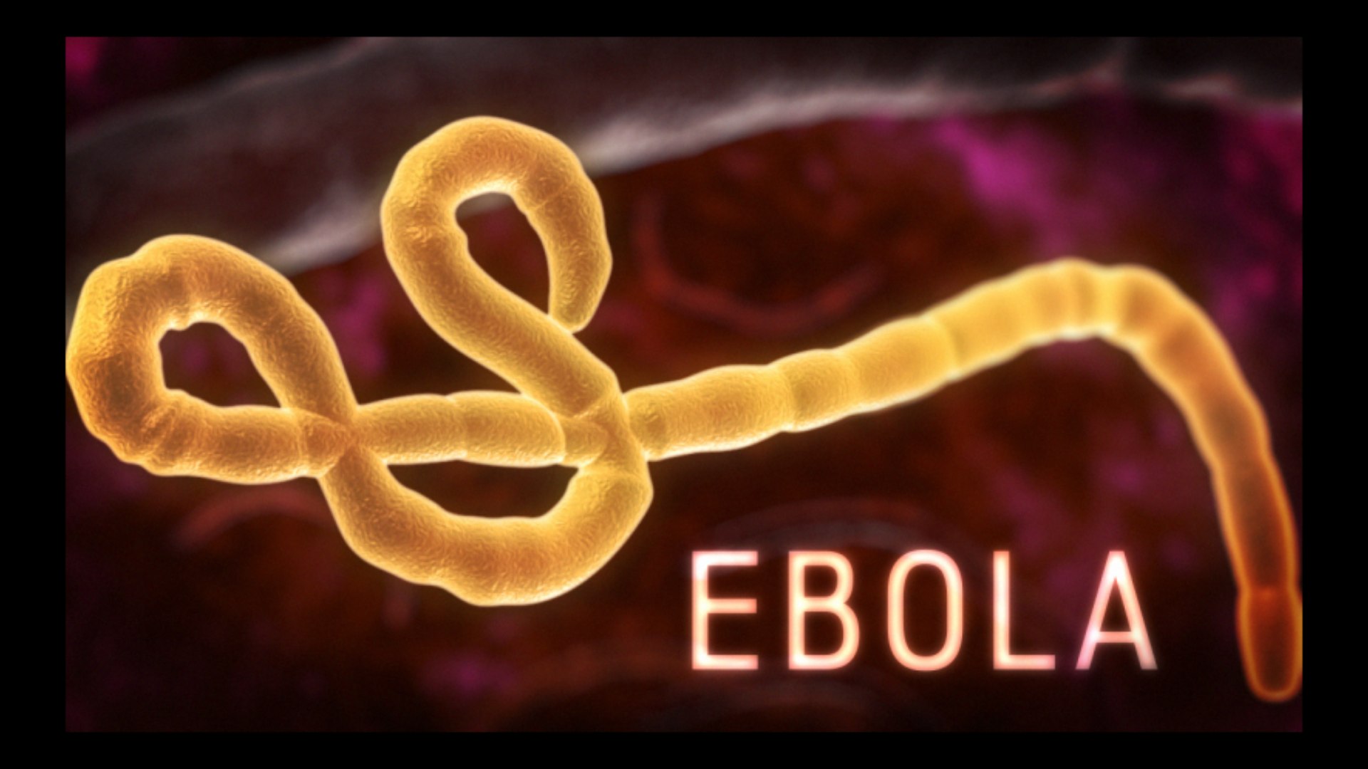 3D virus bacteria microbe https://p.turbosquid.com/ts-thumb/iF/vJfxkQ/8l/ebola/png/1609645662/1920x1080/fit_q87/0c6f85a1c0355298ff85e5d996e70fb97981c59d/ebola.jpg