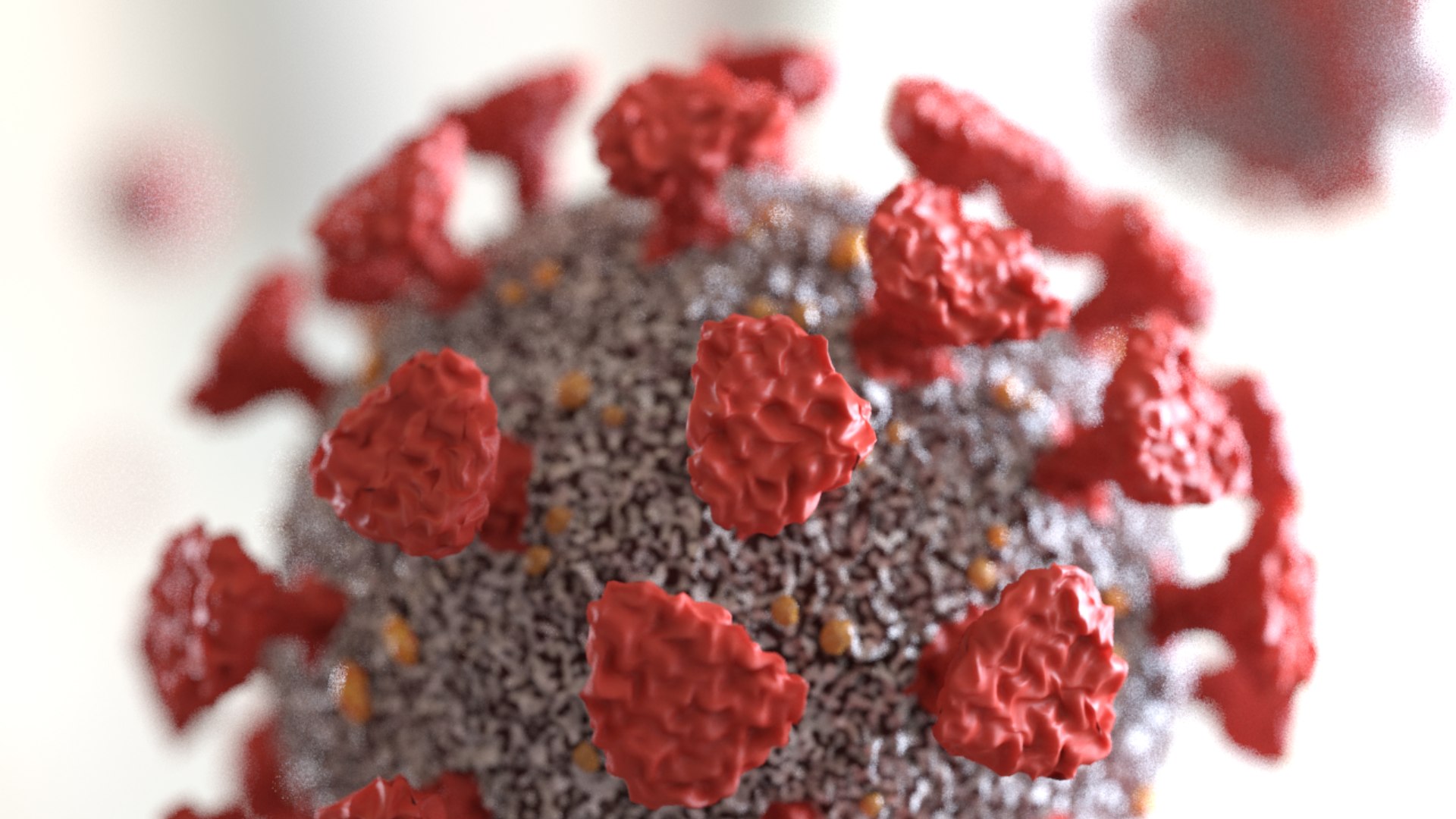 3D virus bacteria microbe https://p.turbosquid.com/ts-thumb/iF/vJfxkQ/Ow/coronanoisy_large/png/1609644828/1920x1080/fit_q87/e3c916b36717e2184e64989cc57e7d4c1149425e/coronanoisy_large.jpg