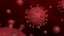 3D virus bacteria microbe