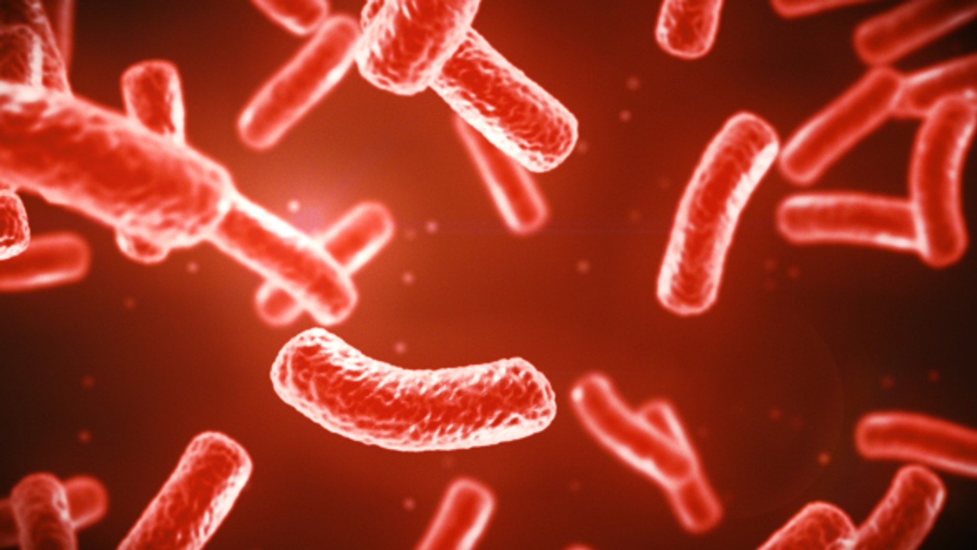 3D virus bacteria microbe https://p.turbosquid.com/ts-thumb/iF/vJfxkQ/So/bactstill/jpg/1609646833/1920x1080/fit_q87/8c7f951556ac6224e65e8fb9803958e7cd203ff6/bactstill.jpg