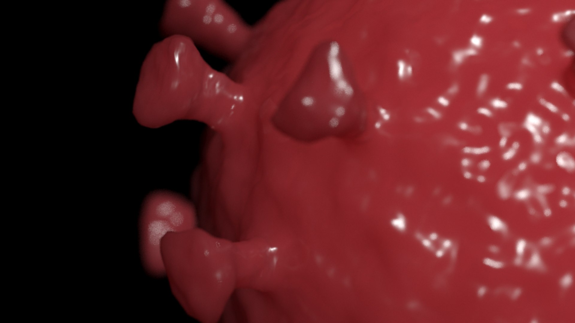 3D virus bacteria microbe https://p.turbosquid.com/ts-thumb/iF/vJfxkQ/cW/fleshy_ecu/png/1609645793/1920x1080/fit_q87/38319c915d85538db4b86c7b5d5a7d555ea573ce/fleshy_ecu.jpg