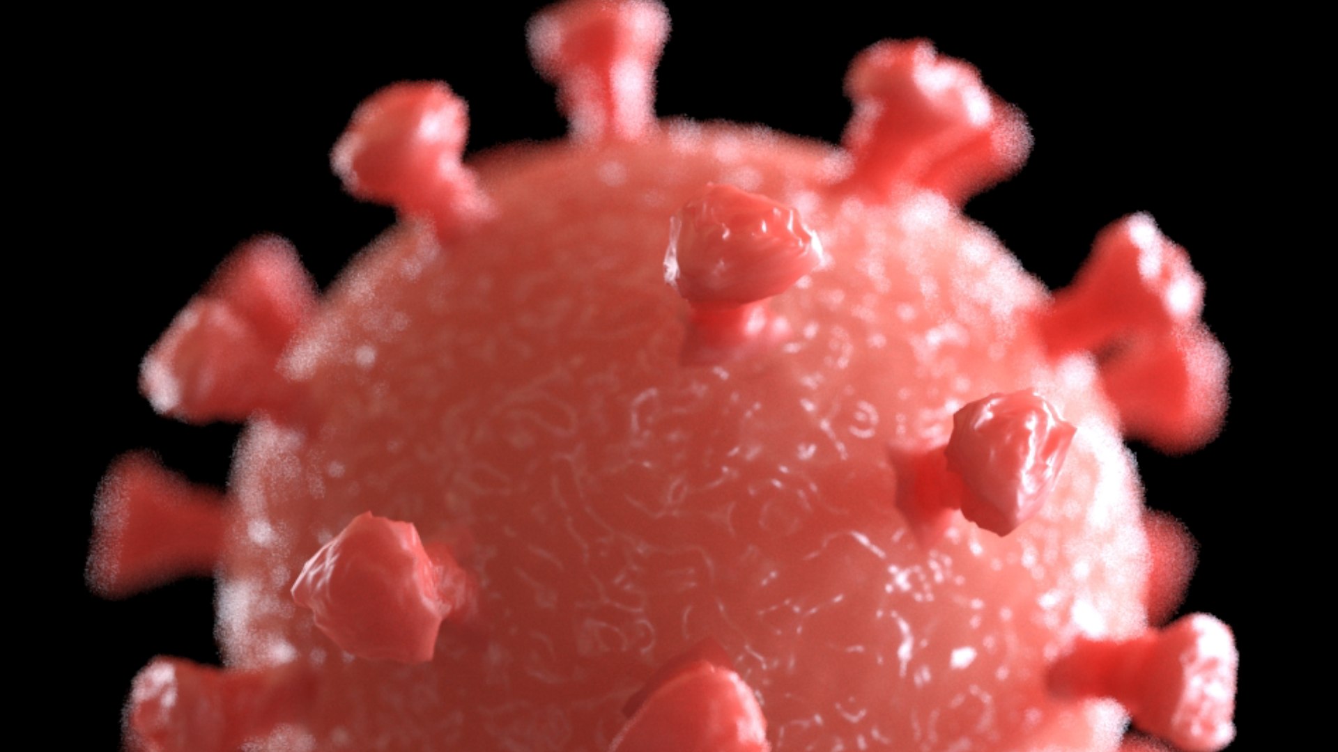3D virus bacteria microbe https://p.turbosquid.com/ts-thumb/iF/vJfxkQ/oR/fleshy_pink2/png/1609646399/1920x1080/fit_q87/51145299e3197faf5124e555c83a627415b334c9/fleshy_pink2.jpg