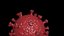3D virus bacteria microbe