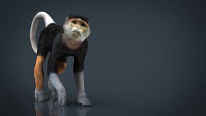 monkey 3D model