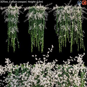 3D Curtain creeper Vernonia Elliptica 05 model