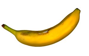 3D banana scan model