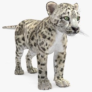 Snow Leopard Cub 3D