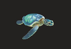 Realistic green sea turtle 3D