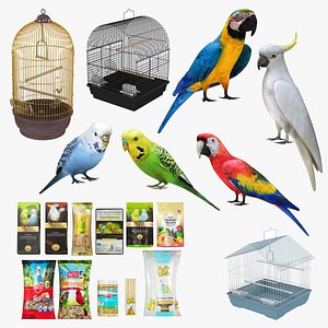 Pet Birds and Care Products