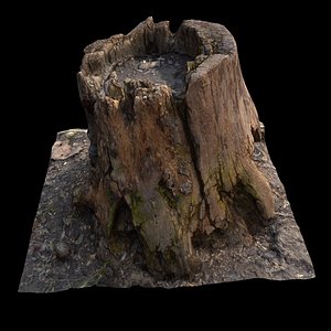old stump 3d max