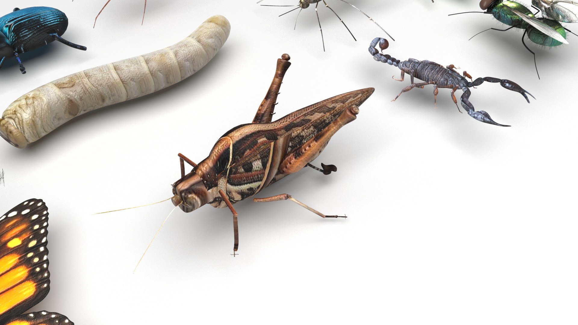 3D model Worms Set https://p.turbosquid.com/ts-thumb/iH/RUjE5a/2m/insectsset9/jpg/1648401012/1920x1080/fit_q87/1c9956d5586605a5af2c69e11ce46d1121993271/insectsset9.jpg