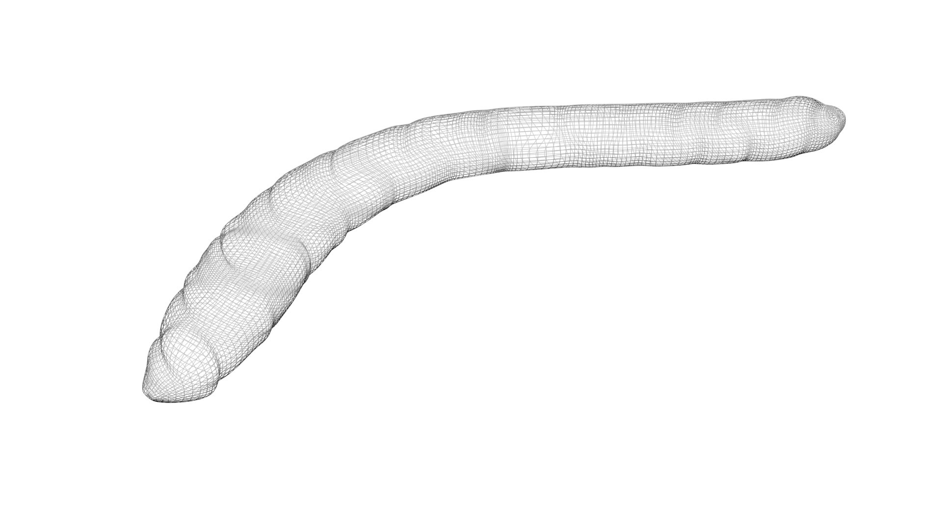 3D model Worms Set https://p.turbosquid.com/ts-thumb/iH/RUjE5a/4L/mealworm14/jpg/1648401104/1920x1080/fit_q87/18fa3e8b9095daffc0812a1c12e51cdf4fc627b5/mealworm14.jpg