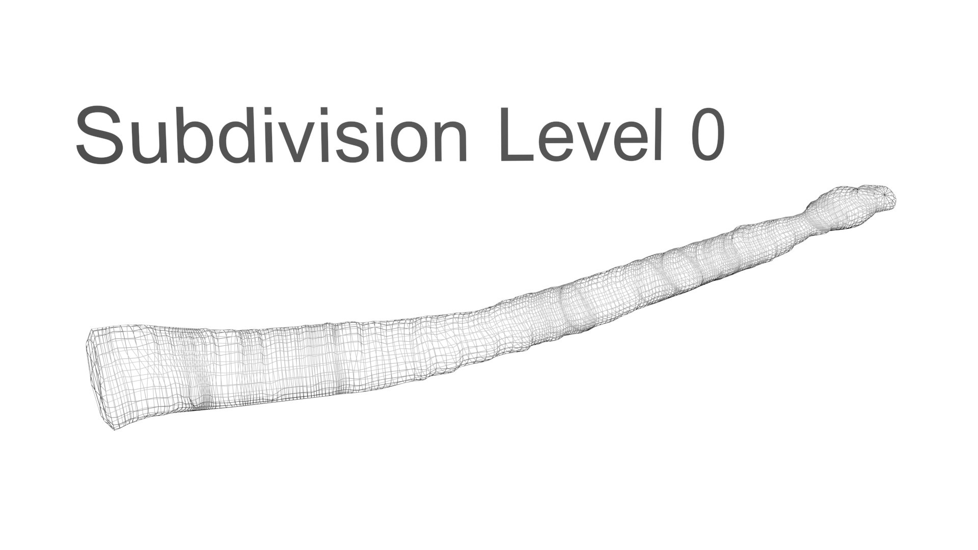 3D model Worms Set https://p.turbosquid.com/ts-thumb/iH/RUjE5a/5k/tapewormnew19/jpg/1716357283/1920x1080/fit_q87/47f126e5aabdbf25acebafc8e2b1c16bb13256b0/tapewormnew19.jpg