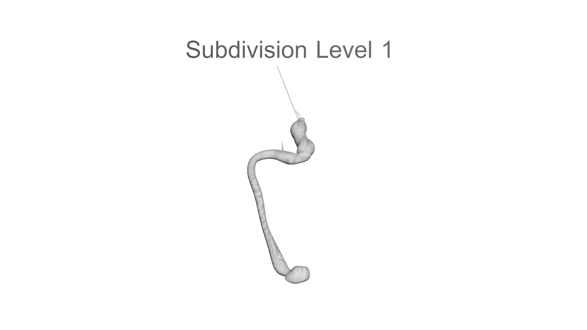 3D model Worms Set https://p.turbosquid.com/ts-thumb/iH/RUjE5a/6A/hookworm27/jpg/1716357243/1920x1080/fit_q87/35d71f26577d6ba4307eb59f02a835c8892d29f6/hookworm27.jpg