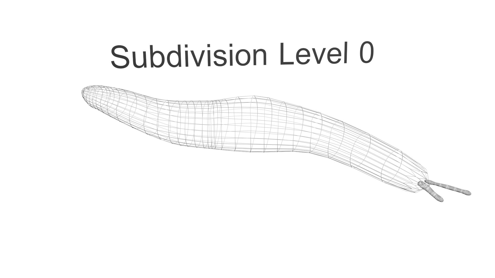 3D model Worms Set https://p.turbosquid.com/ts-thumb/iH/RUjE5a/CR/flatworm21/jpg/1716357281/1920x1080/fit_q87/d4a8ded86b0f18d817b0fb7f8106f394dca2130b/flatworm21.jpg