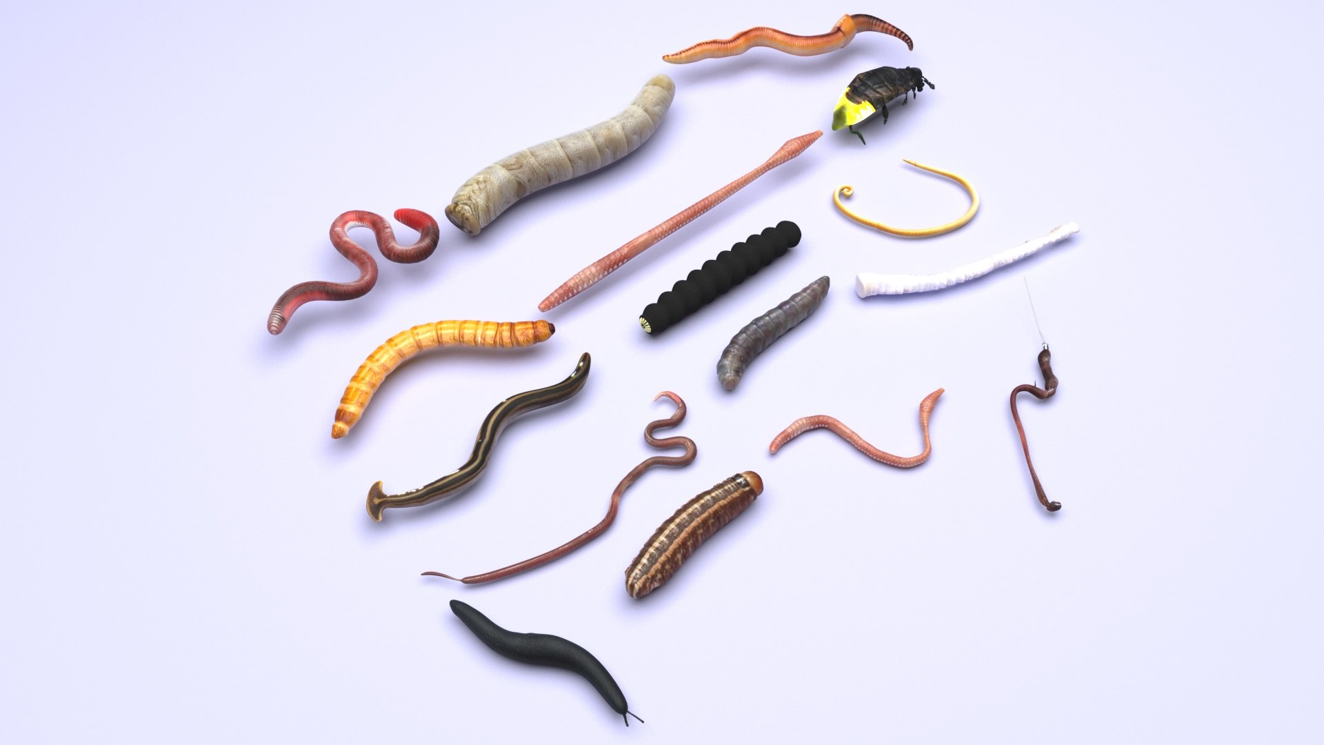3D model Worms Set https://p.turbosquid.com/ts-thumb/iH/RUjE5a/D1/wormssetnew3/jpg/1716357176/1920x1080/fit_q87/1e2be05d4bdcb138d01f206e43333385423f753d/wormssetnew3.jpg